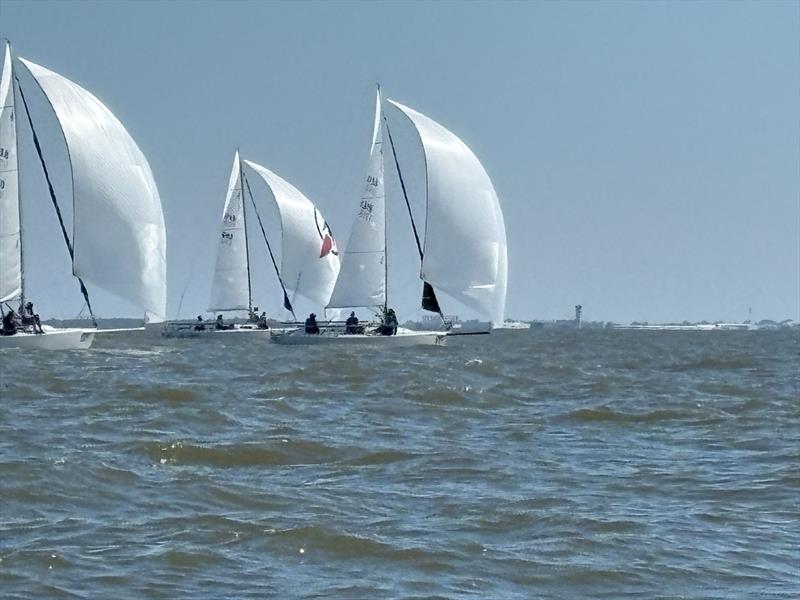 J/80 North American Championship 2025 day 1 - photo © J80 North American Class Association