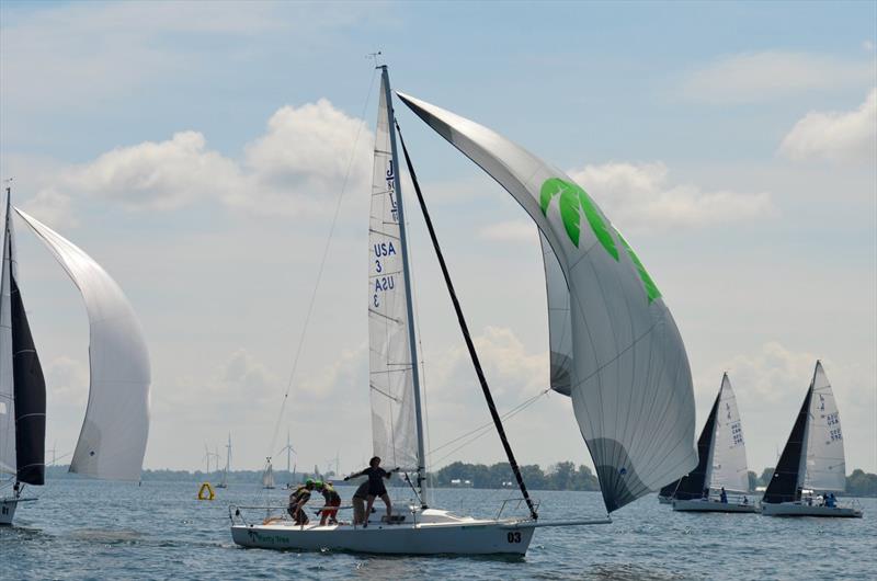2026 J/80 North American Championship at CORK Sail Kingston photo copyright J/80 North American Class Association  taken at  and featuring the J80 class