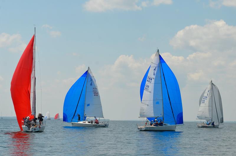 2026 J/80 North American Championship at CORK Sail Kingston - photo © J/80 North American Class Association 