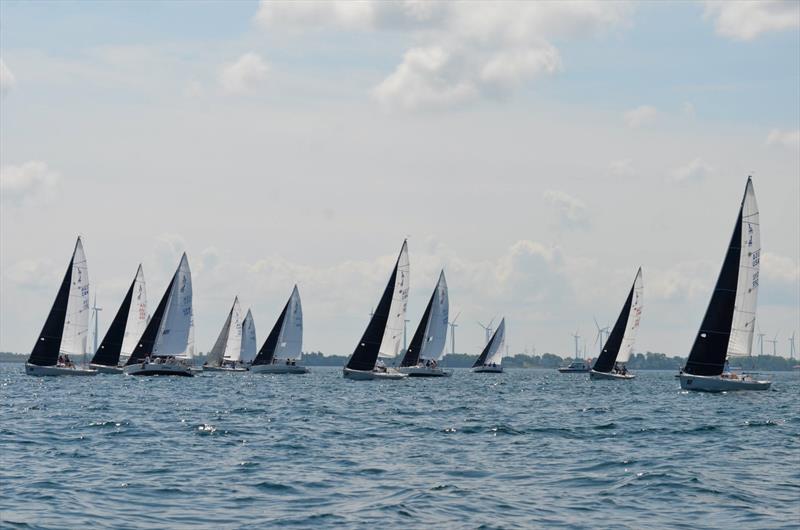 2026 J/80 North American Championship at CORK Sail Kingston photo copyright J/80 North American Class Association  taken at  and featuring the J80 class