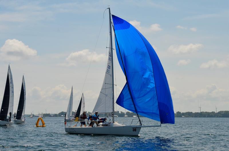 2026 J/80 North American Championship at CORK Sail Kingston photo copyright J/80 North American Class Association  taken at  and featuring the J80 class