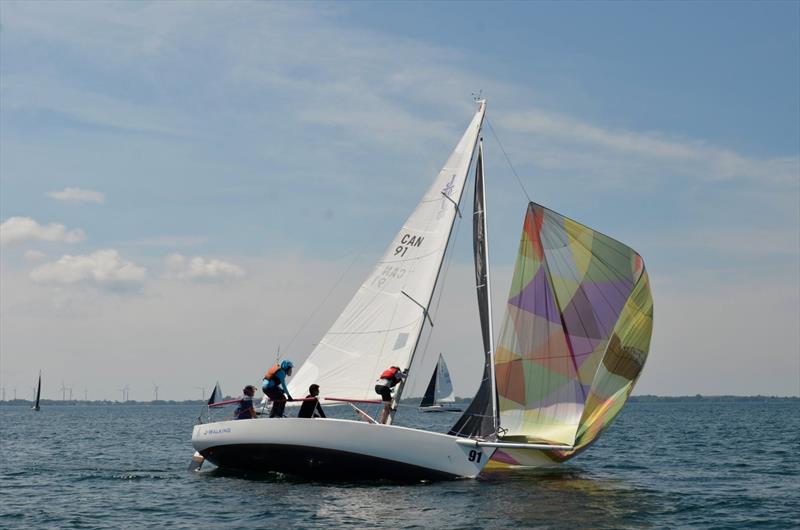 2026 J/80 North American Championship at CORK Sail Kingston photo copyright J/80 North American Class Association  taken at  and featuring the J80 class