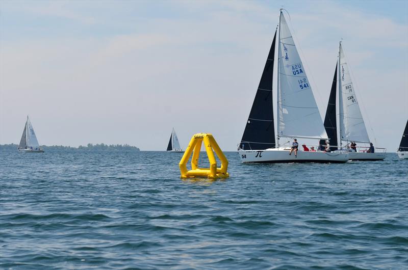 2026 J/80 North American Championship at CORK Sail Kingston photo copyright J/80 North American Class Association  taken at  and featuring the J80 class