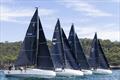 Nautilus Marine Insurance Sydney Harbour Regatta 2024 © Andrea Francolini