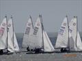 Javelin Nationals at Southwold © Jeremy Taylor