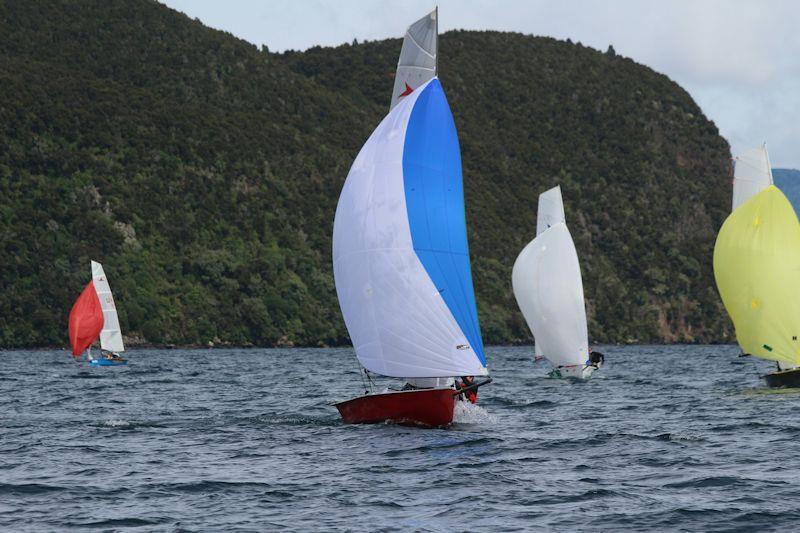 2019 Sanders Cup photo copyright Stuart Penny taken at  and featuring the Javelin Skiff class