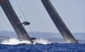© ROLEX / Carlo Borlenghi