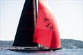 &copy; Ogla Sarma