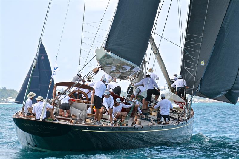 Shamrock V the 1937 Challenger for the America's Cup carries a full suit of Doyle Sails - J- Class Regatta 35th America's Cup Bermuda, June 19 , 2017  - photo © Richard Gladwell