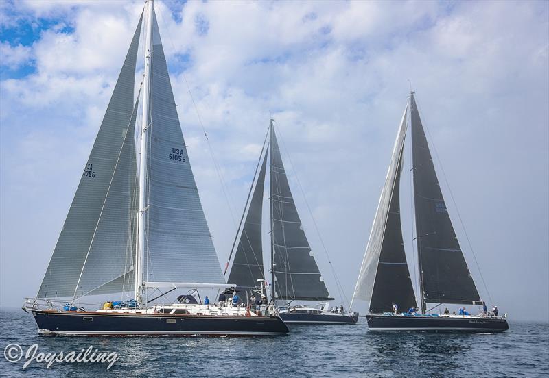 The Islands Race photo copyright Joysailing taken at San Diego Yacht Club and featuring the J Class class