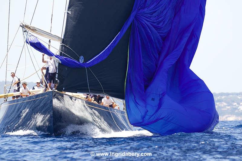 The Superyacht Cup Palma 2022 photo copyright Ingrid Abery / www.ingridabery.com taken at Real Club Náutico de Palma and featuring the J Class class