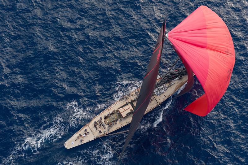 Svea during today's racing at Les Voiles de Saint-Tropez - photo © Gilles Martin Raget
