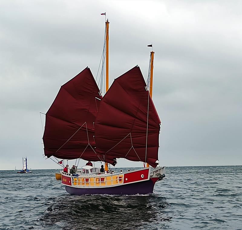 Kokachin in 2022 - photo © Linda Crew-Gee