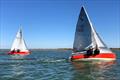 Gusty conditions approaching the windward mark - Kestrel Eastern Area Championships at Maylandsea Bay © Vicky Broomfield