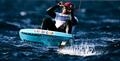 Italy's Riccardo Pianosi, 2025 European champion