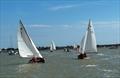 Lapwing Championship at Aldeburgh &copy; Lucy Vinten