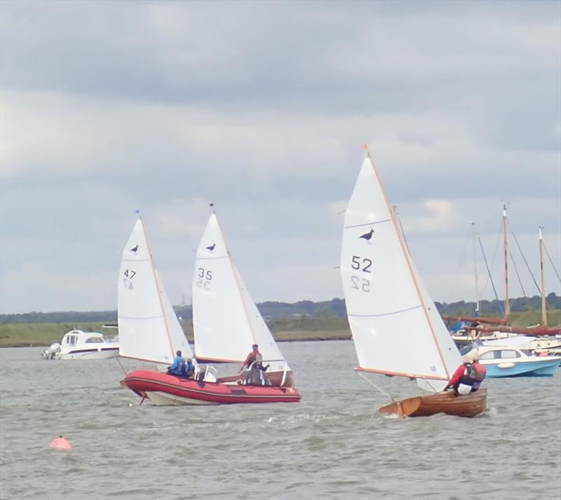 Lapwing Championship 2019 at Aldeburgh photo copyright Lucy Viten Mattich taken at Aldeburgh Yacht Club and featuring the Lapwing class