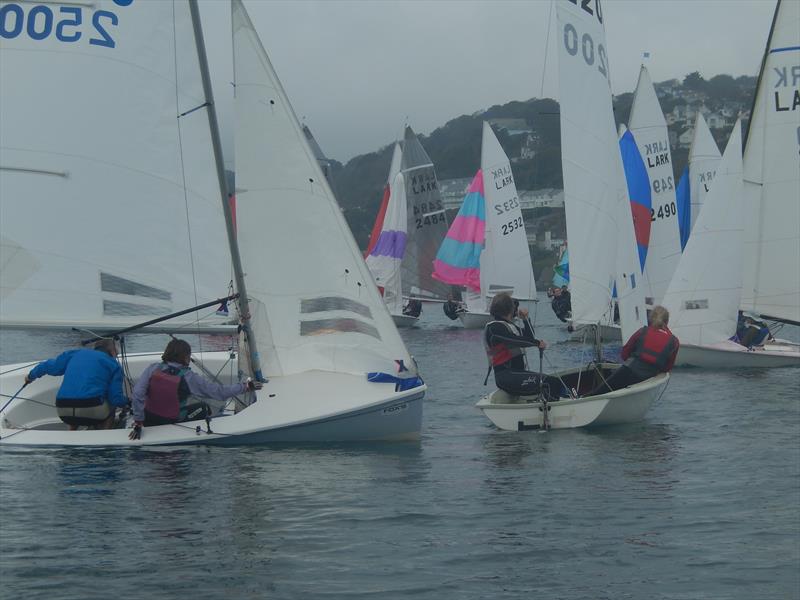 Salcombe Brewery 50th Lark Masters photo copyright Malcolm Mackley taken at Salcombe Yacht Club and featuring the Lark class