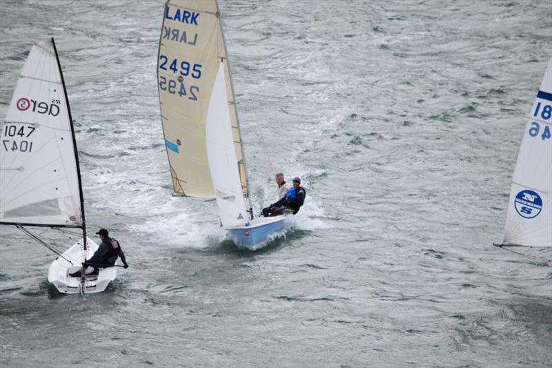 Larks at the Salcombe Regatta photo copyright Tim Fells taken at Salcombe Yacht Club and featuring the Lark class