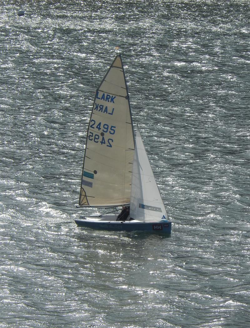 Salcombe Gin Salcombe Yacht Club Annual Regatta  photo copyright Margaret Mackley taken at Salcombe Yacht Club and featuring the Lark class