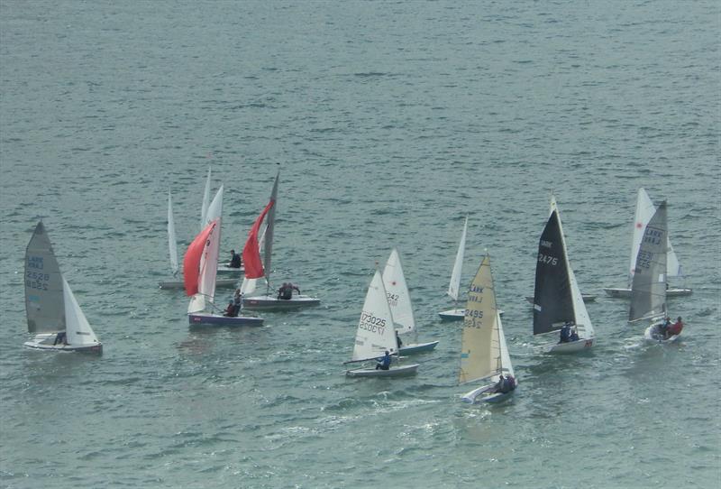 Salcombe Gin Salcombe Yacht Club Annual Regatta  photo copyright Margaret Mackley taken at Salcombe Yacht Club and featuring the Lark class