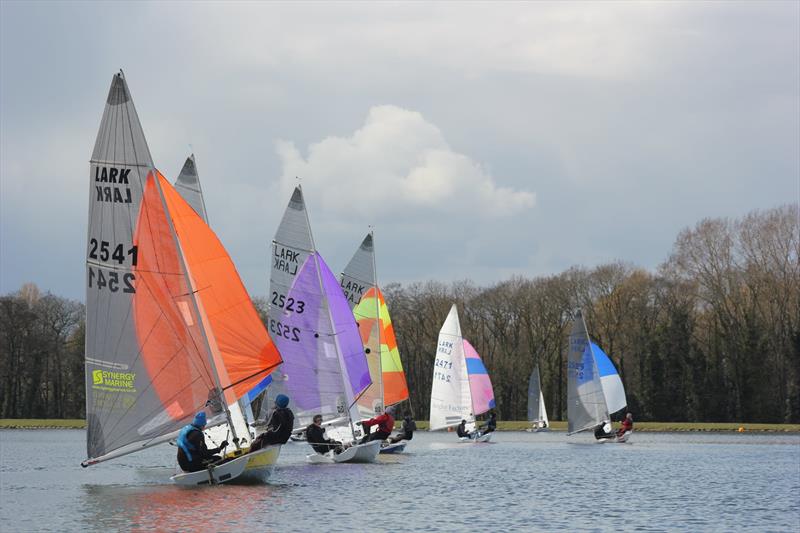 South Staffs Lark Open photo copyright Martin Warburton taken at South Staffordshire Sailing Club and featuring the Lark class