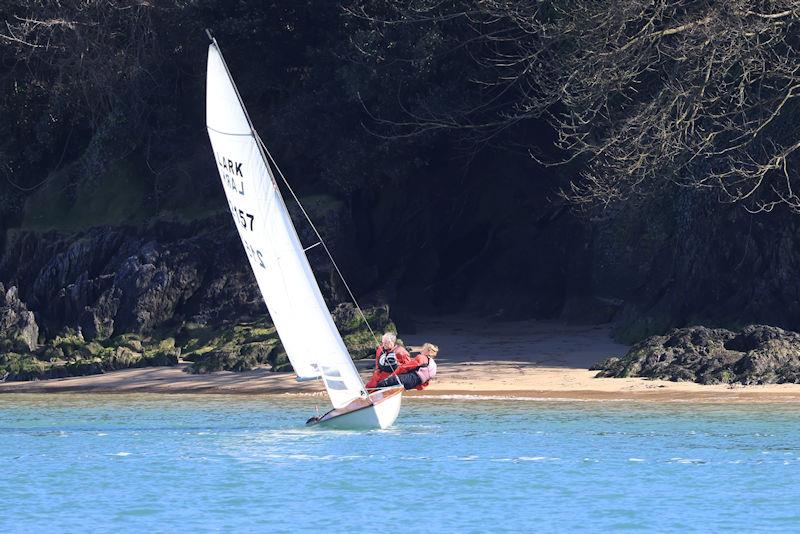 Salcombe Yacht Club Spring Series, Race 2 photo copyright Lucy Burn taken at Salcombe Yacht Club and featuring the Lark class