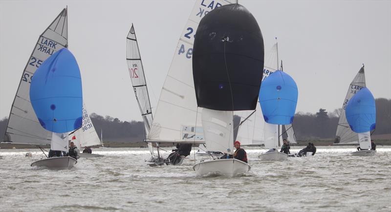 Larks at the Waldringfield Easter Egg photo copyright Alexis Smith taken at Waldringfield Sailing Club and featuring the Lark class