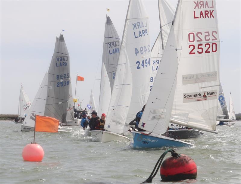 Larks at the Waldringfield Easter Egg 2025 photo copyright Alexis Smith taken at Waldringfield Sailing Club and featuring the Lark class