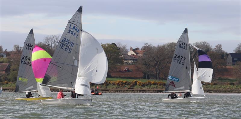 Waldringfield Easter Egg 2026 photo copyright Alexis Smith taken at Waldringfield Sailing Club and featuring the Lark class