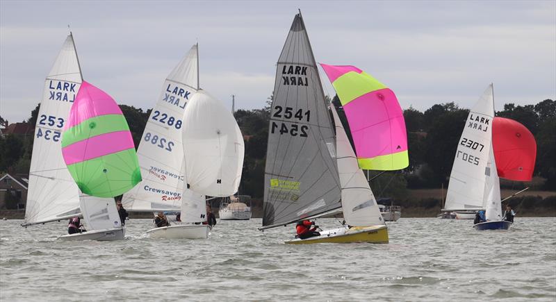 Craftinsure Lark Cartoon Trophy at Waldringfield - photo © Alexis Smith