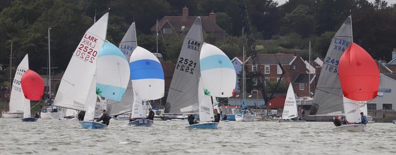 Craftinsure Lark Cartoon Trophy at Waldringfield - photo © Alexis Smith