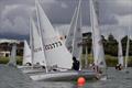 Panmure Lagoon Sailing Club Laser Regatta Standard Start © Celina Barker