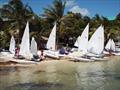 San Pedro Sailing Club's new fleet of Lasers © Forrest Jones