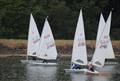 ILCA Midlands GP at Trimpley © Mike Stout 