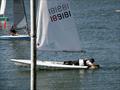 Arghhh not more weed - 2023 Border Counties Midweek Sailing Series at Nantwich & Border Counties SC © John Nield