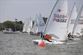ILCA Eastern GP Open at Waldringfield