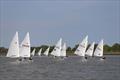 ILCA Eastern GP Open at Waldringfield