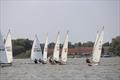 ILCA Eastern GP Open at Waldringfield