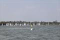 ILCA Eastern GP Open at Waldringfield