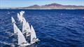 ILCA 7s - Lanzarote International Regatta 2025 &copy; Sailing Energy