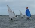 Fun on the run on Howth YC Dinghy Frostbites Spring Series Day 4