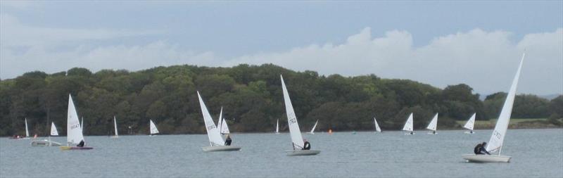 Laser South Coast Grand Prix at Chichester photo copyright Louise Varley taken at Chichester Yacht Club and featuring the ILCA 7 class