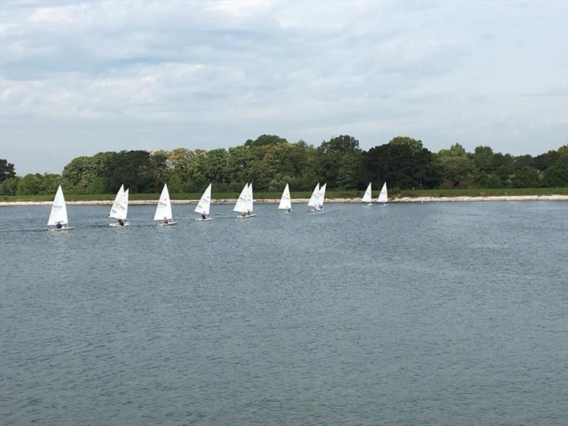 Lasers at Shustoke - photo © Shustoke Sailing Club