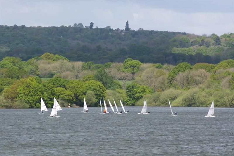 Bough Beech Laser Open photo copyright BBSC taken at Bough Beech Sailing Club and featuring the ILCA 7 class