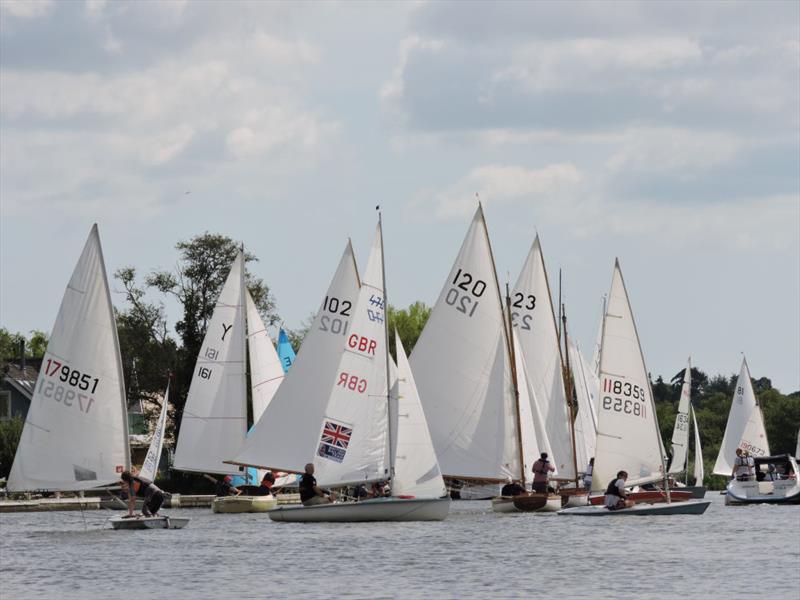 Horning Sailing Club Regatta Week photo copyright Holly Hancock taken at Horning Sailing Club and featuring the ILCA 7 class