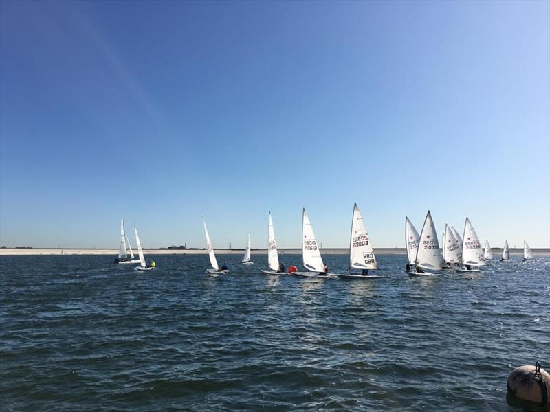 Thames Valley Laser Open at Datchet photo copyright DWSC taken at Datchet Water Sailing Club and featuring the ILCA 7 class