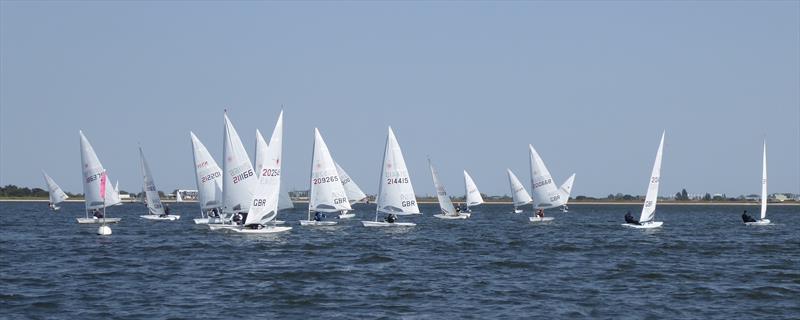 ILCA / Laser Summer Series at Queen Mary Sailing Club photo copyright QMSC taken at Queen Mary Sailing Club and featuring the ILCA 7 class