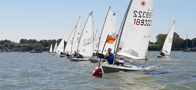 Laser / ILCA Spring Open at Royal Harwich photo copyright Theresa Thorogood taken at Royal Harwich Yacht Club and featuring the ILCA 7 class