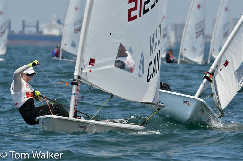 The Moorings Laser North American Championship photo copyright Tom Walker taken at Alamitos Bay Yacht Club and featuring the ILCA 7 class